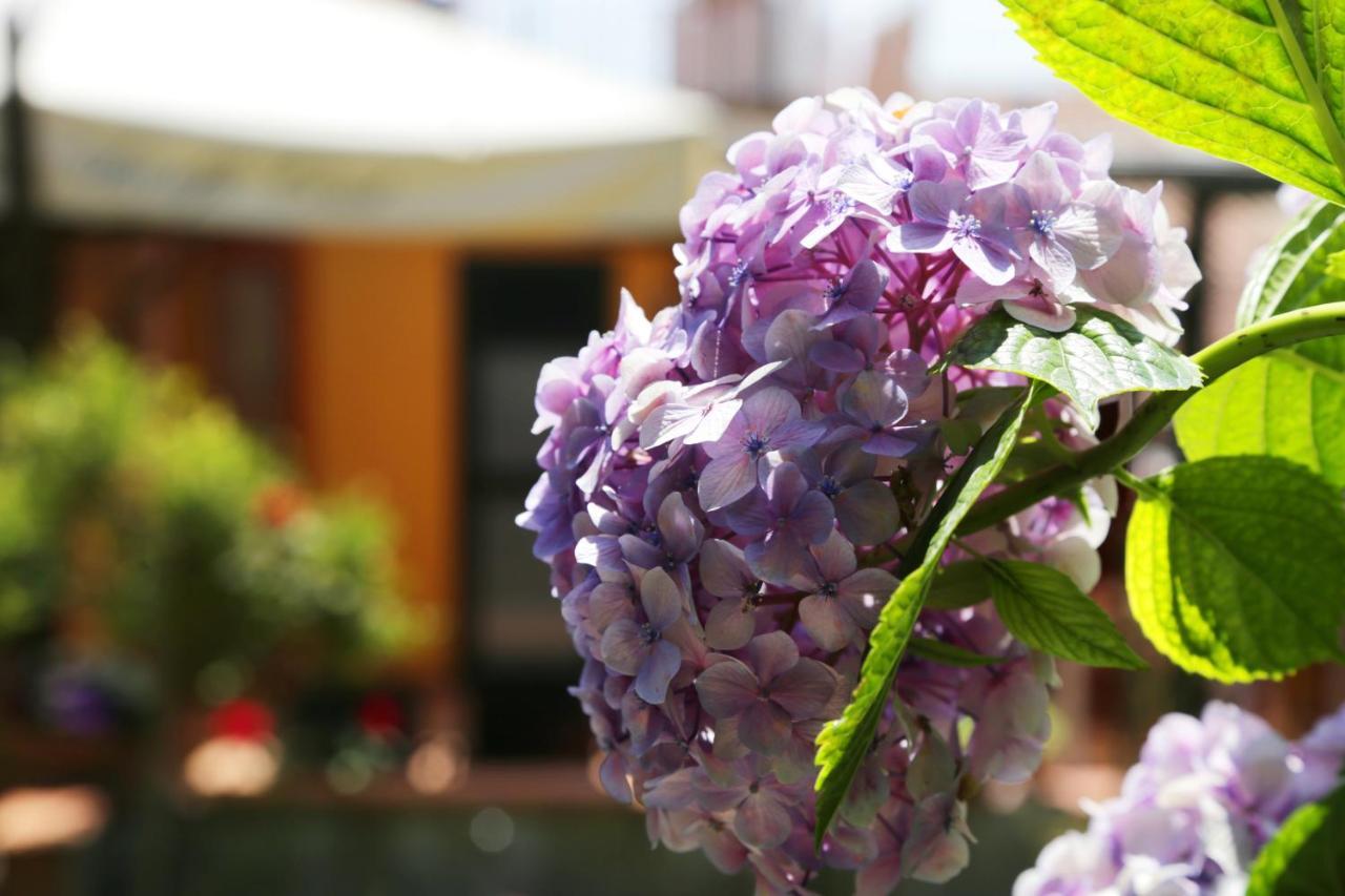 B&B Rosaria Amalfi Coast Vietri Exterior foto